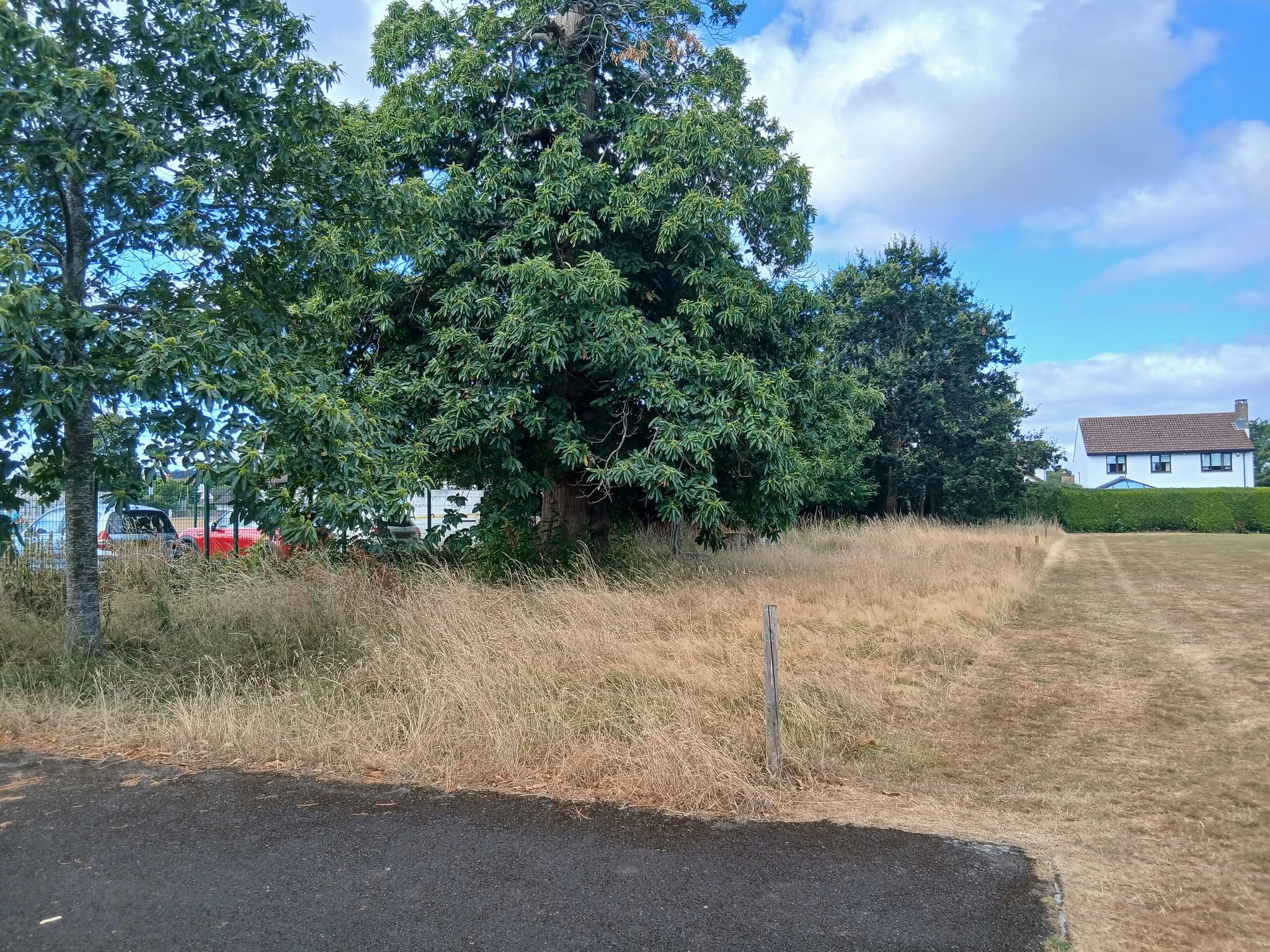 The Chestnuts Meadow